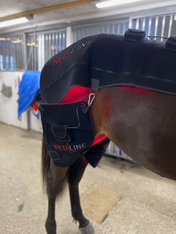 2 stk. Redline Pad Cob